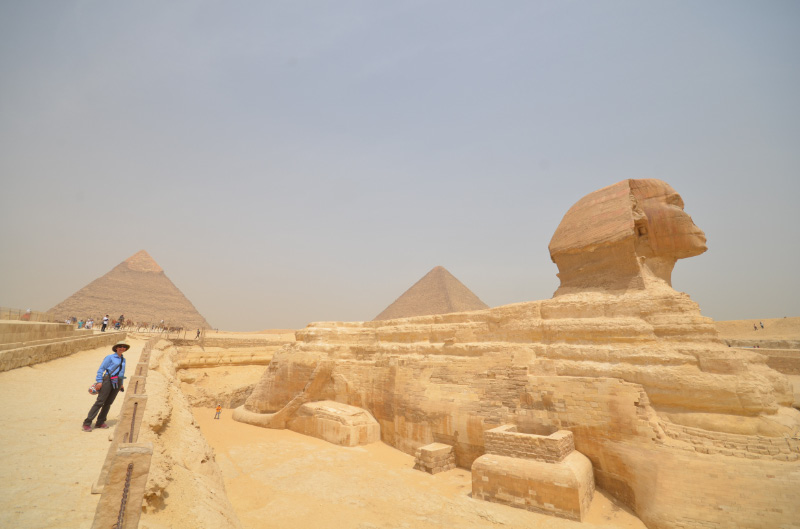 Sphinx - 8