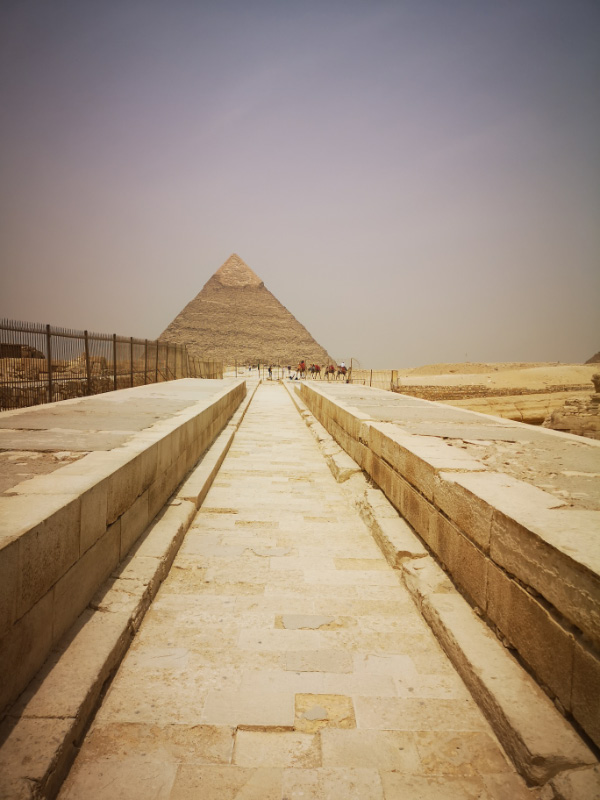 Sphinx - 13
