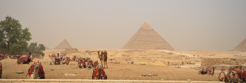 Sphinx - 15