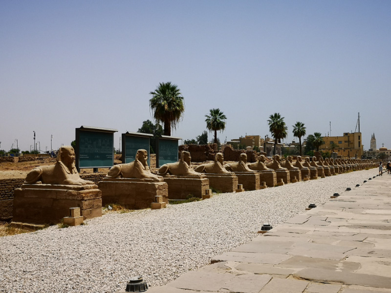 Luxor 20