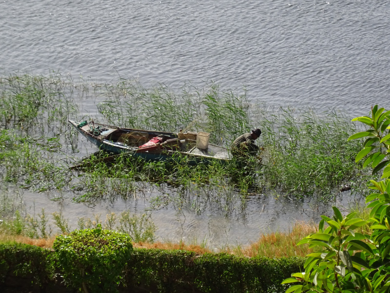 Fisherman