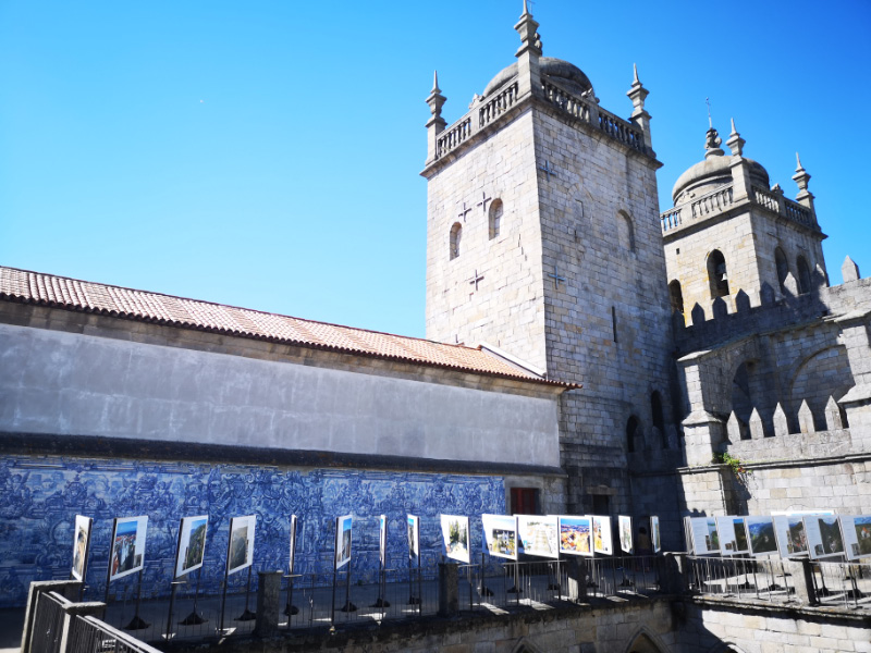 Cathedral 7