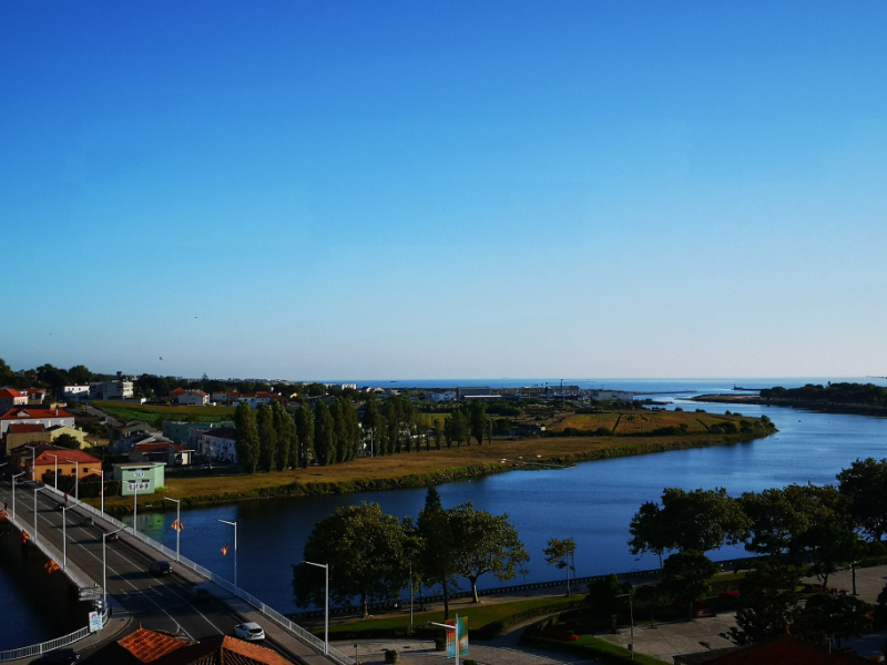Estuary