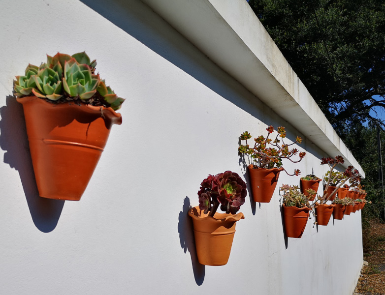 Pots