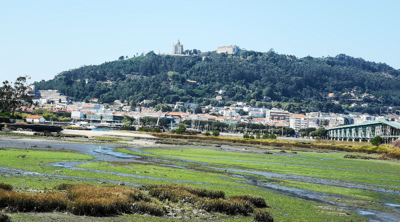 Viana do Castelo 1