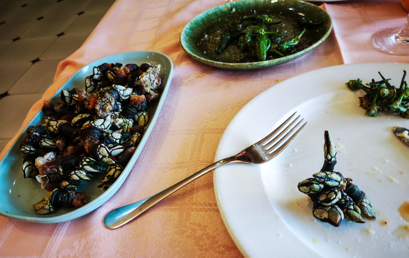 Percebes