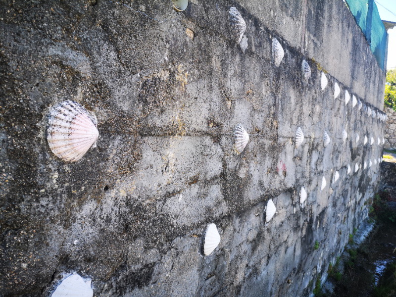 Shells