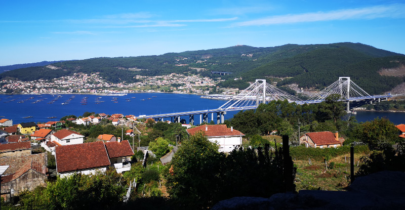 Bridge