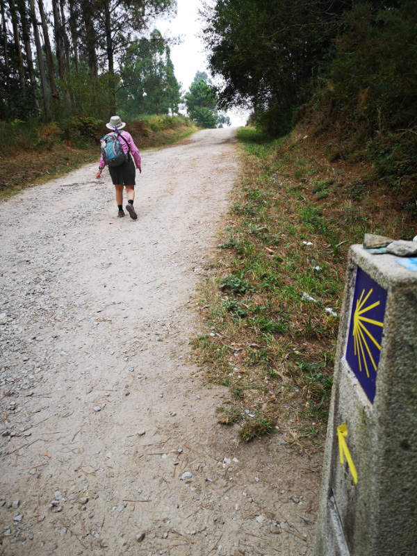 Hilly 2