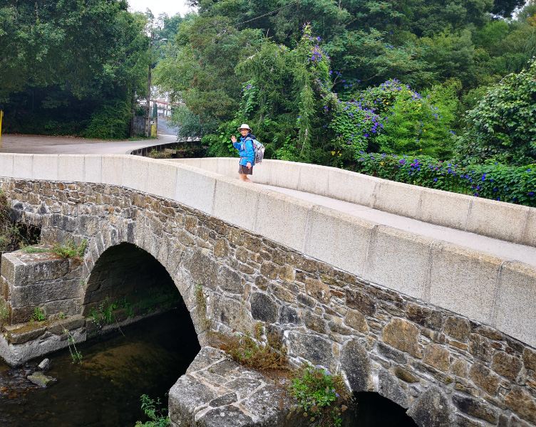 Bridge