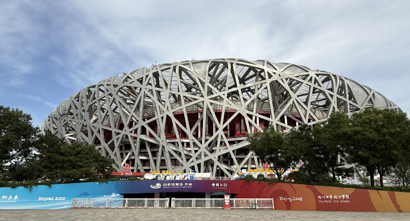 Bird's nest 3