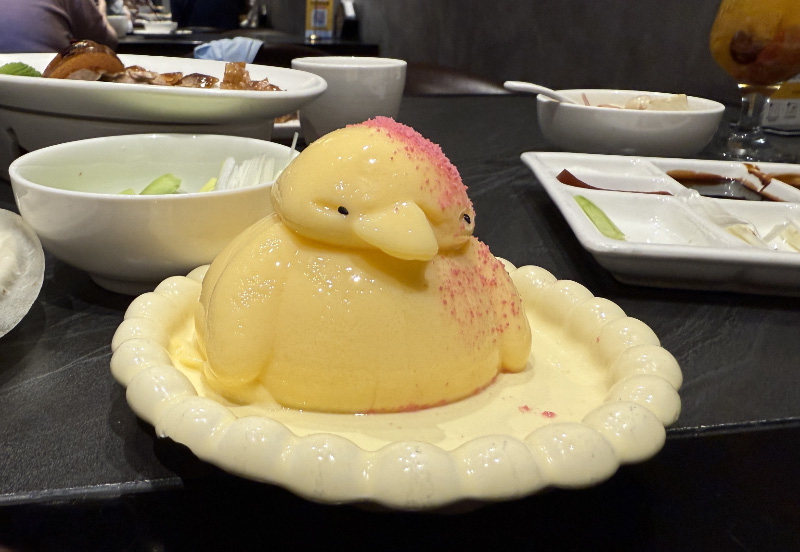 Duck 2