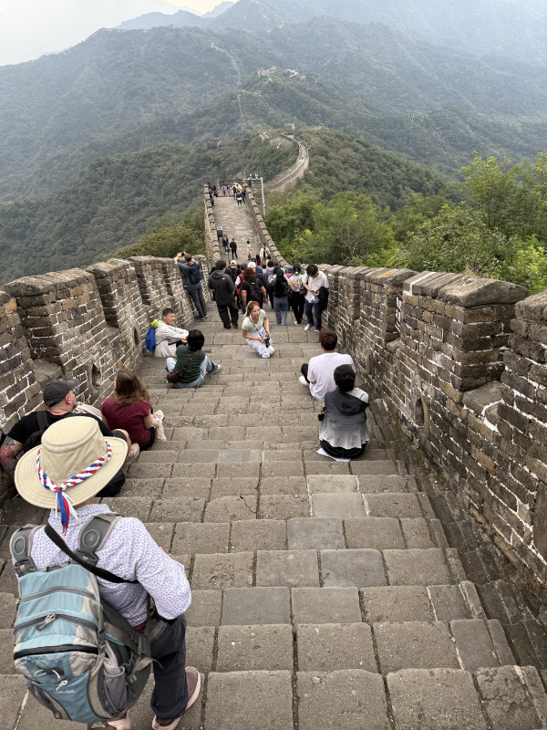 Great Wall 10