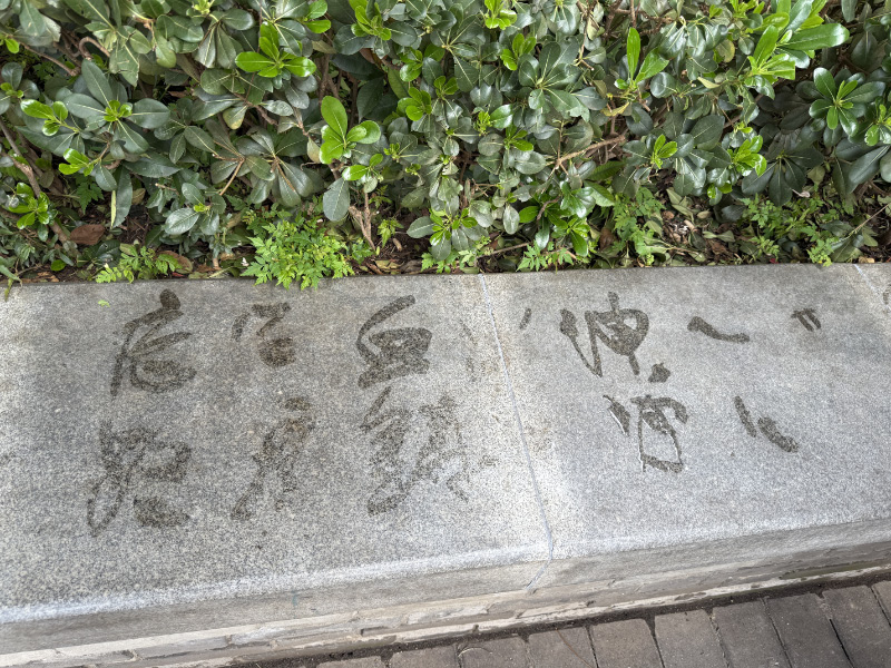 Caligraphy