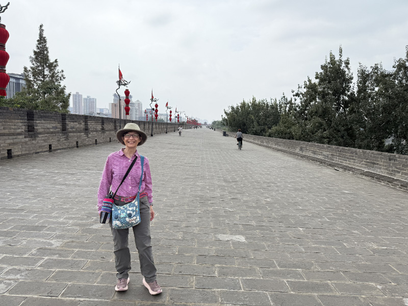Xi'an Wall 3