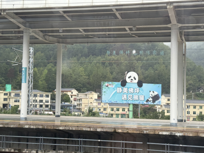 Pandas