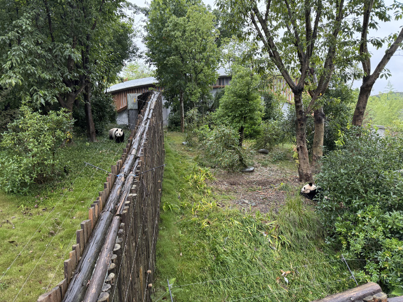 Pandas 2
