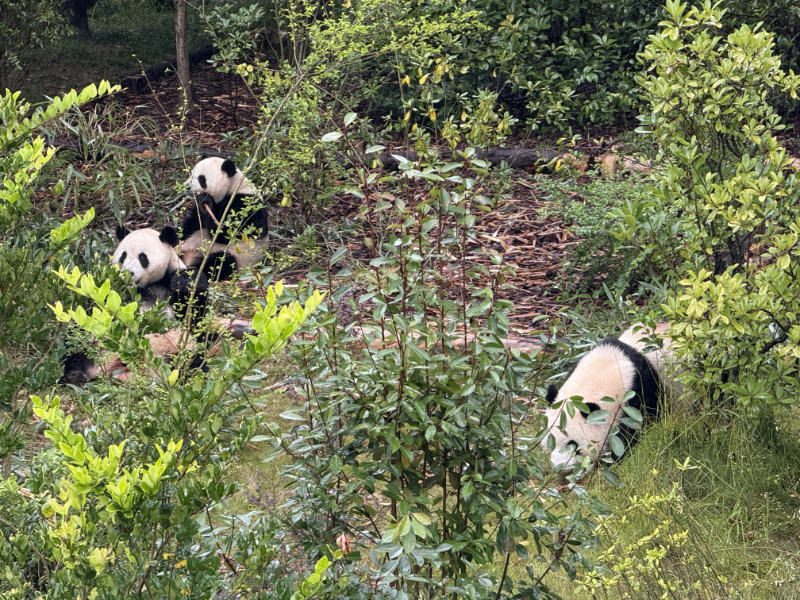 Pandas pt2 16