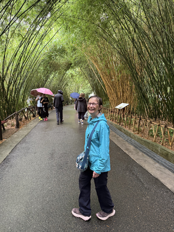 Bamboo