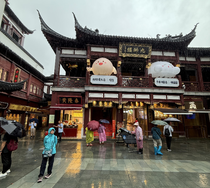 Shanghai 7