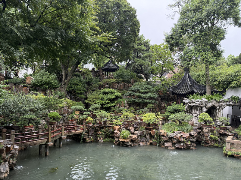 Shanghai 16