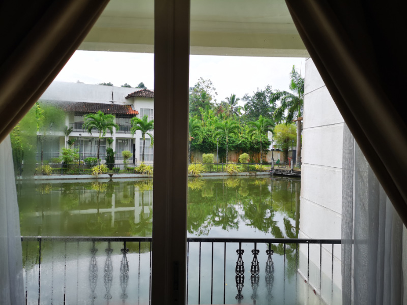 Room view
