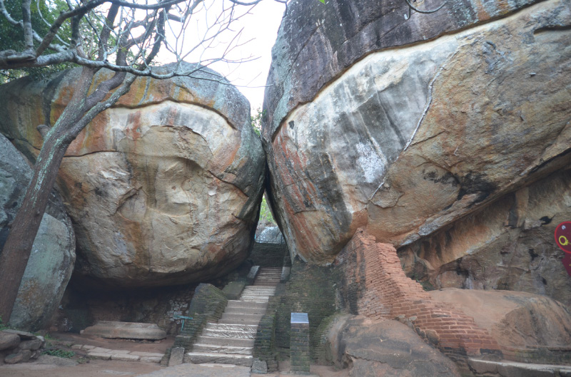 Lion Rock 3