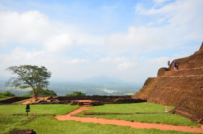 Lion Rock 19