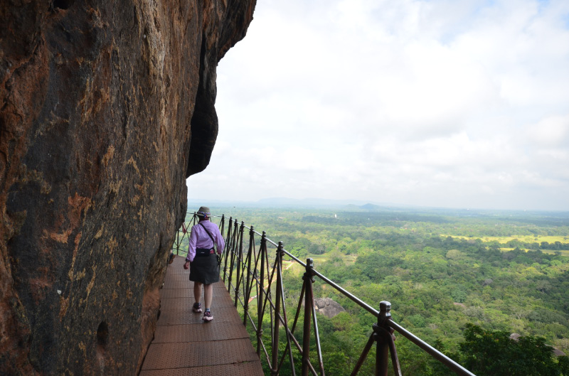 Lion Rock 5