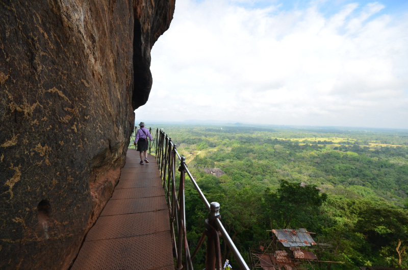Lion Rock 6
