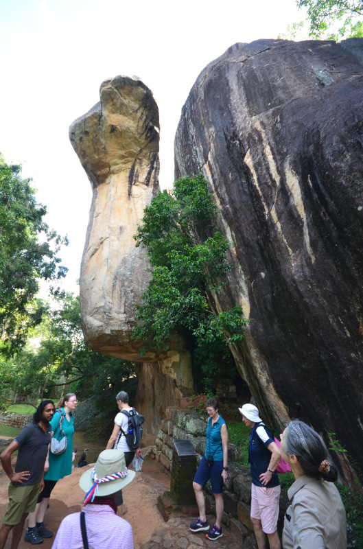 Lion Rock 28