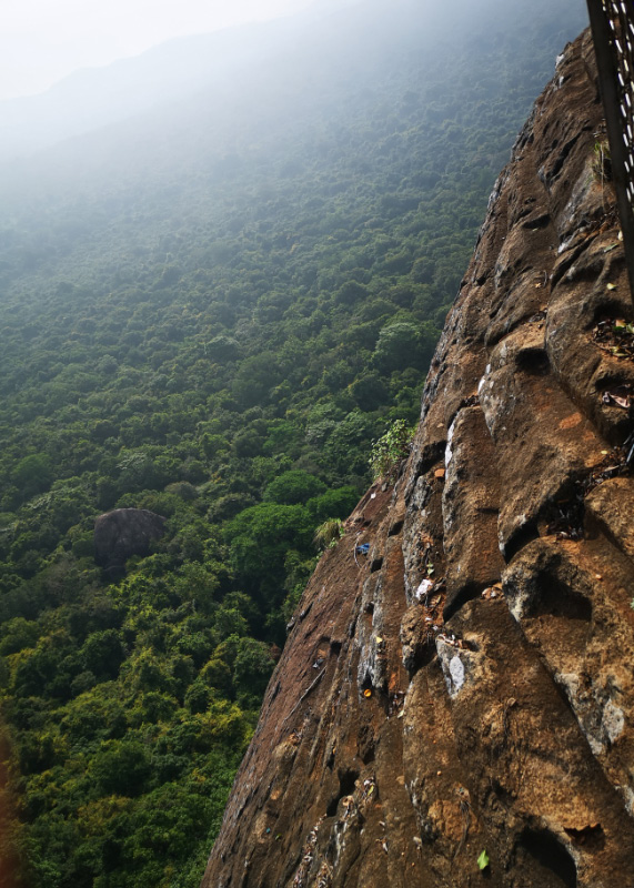 Lion Rock 11