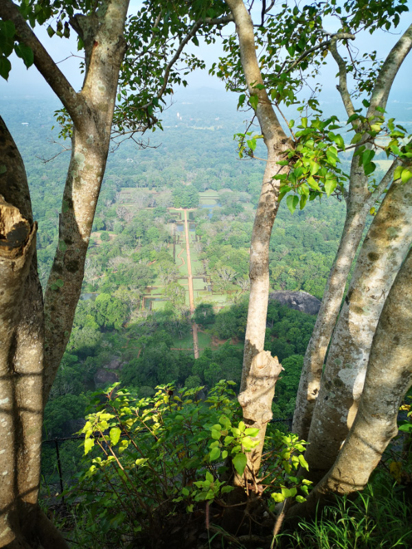 Lion Rock 22