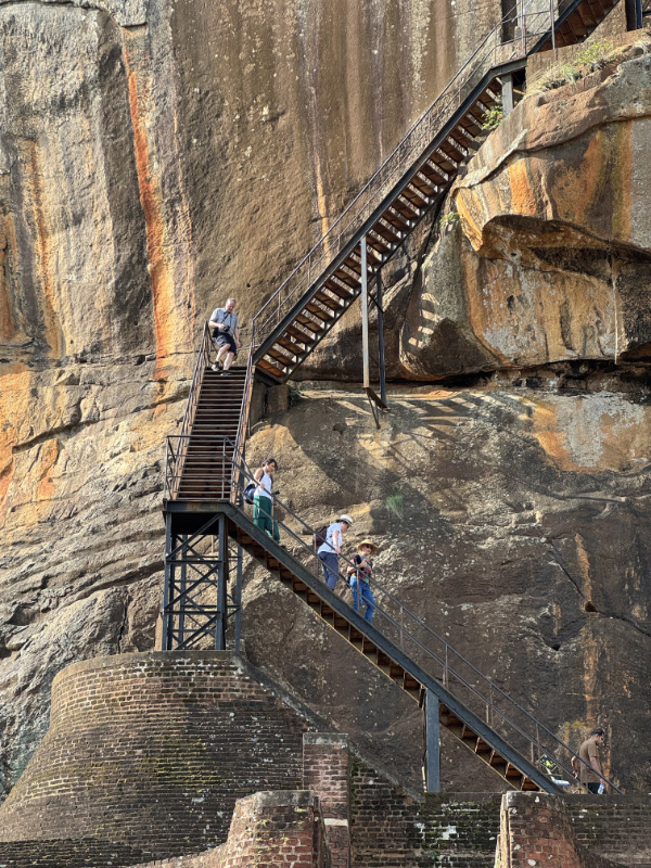 Lion Rock 24