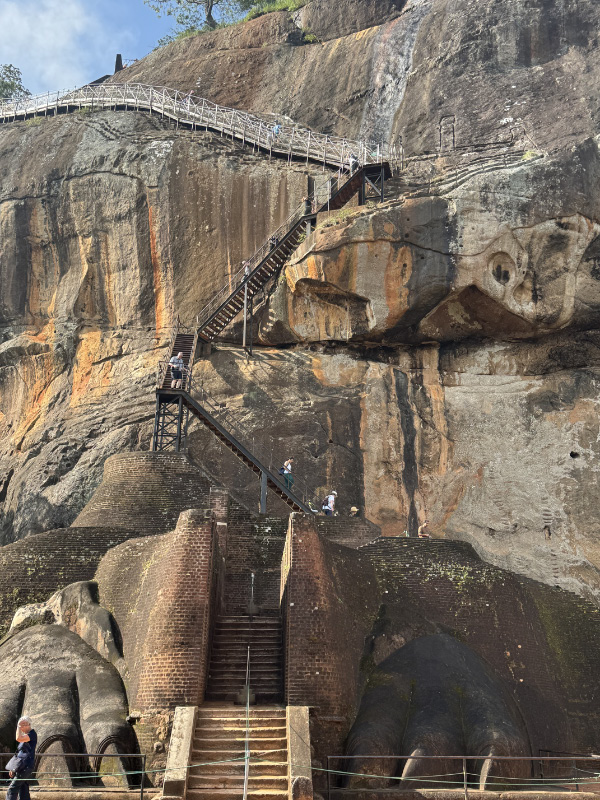 Lion Rock 23