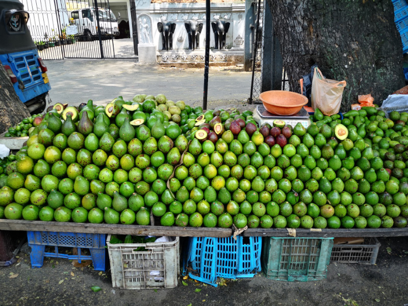 Avocados