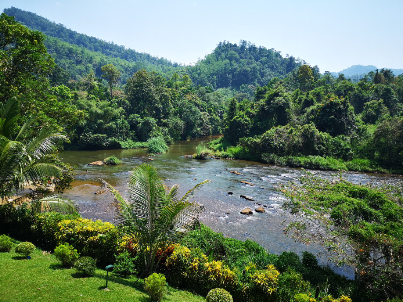 Rafting 6