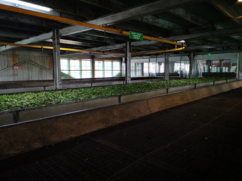 Factory 1