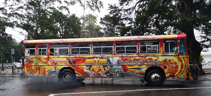 Bus