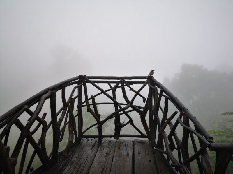 Misty again