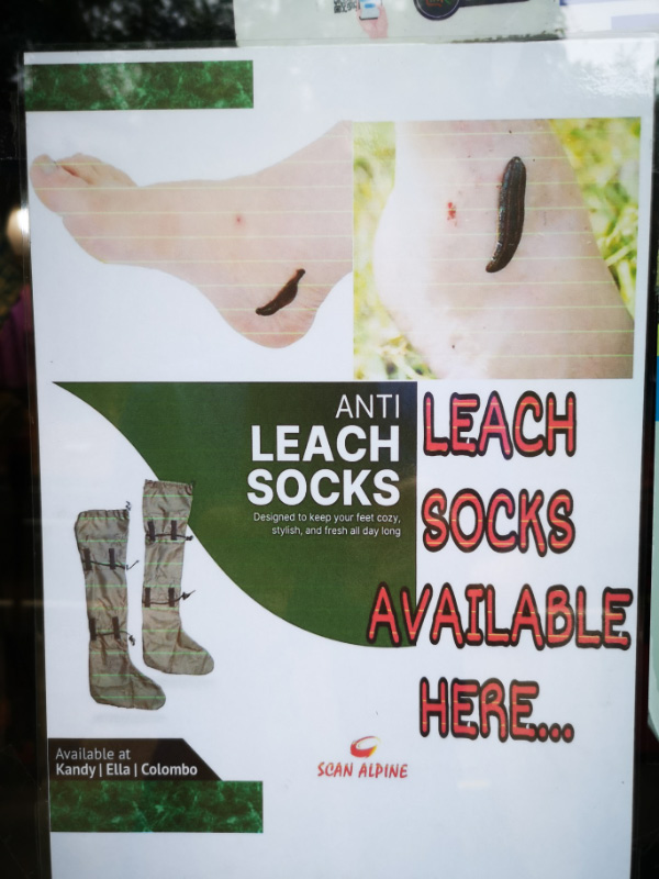 Socks