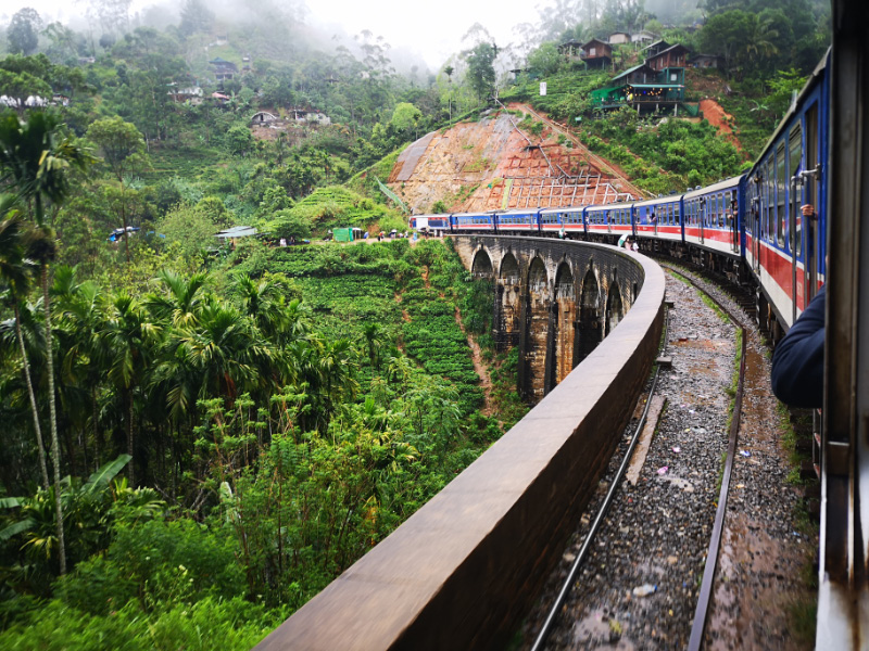 View from Train 1