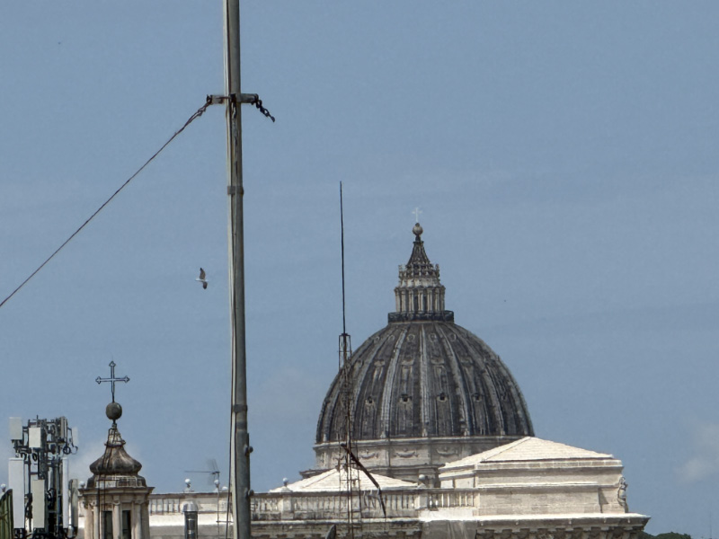 Roof 3